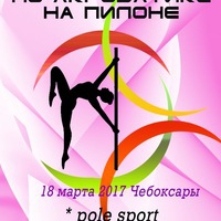 Региональные соревнования Pole Dance