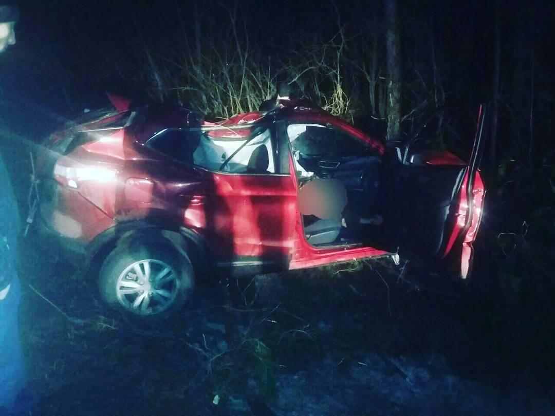В Батыревском районе водитель «Ниссан Кашкай» разбился, врезавшись в дерево