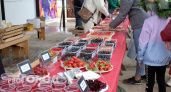 Фудкорт, сцена, фотозоны и ягоды от фермеров: в Чувашии проведут второй ягодный фестиваль