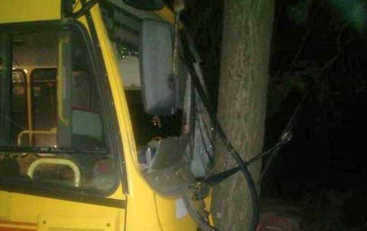 В Сосновке пьяный водитель врезался в рейсовый автобус