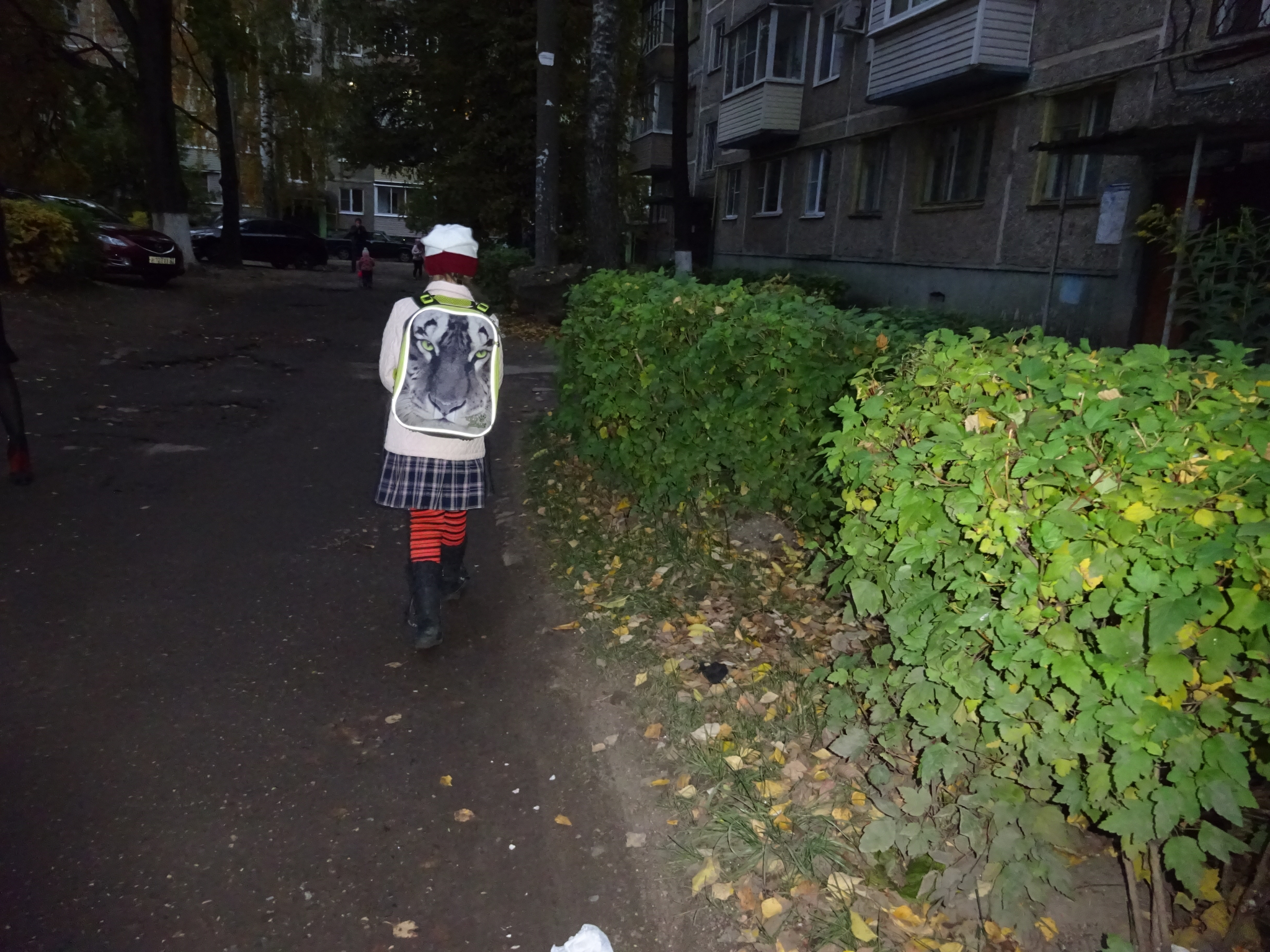 Личная история: в Новочебоксарске соседка отказалась пускать девочку в подъезд