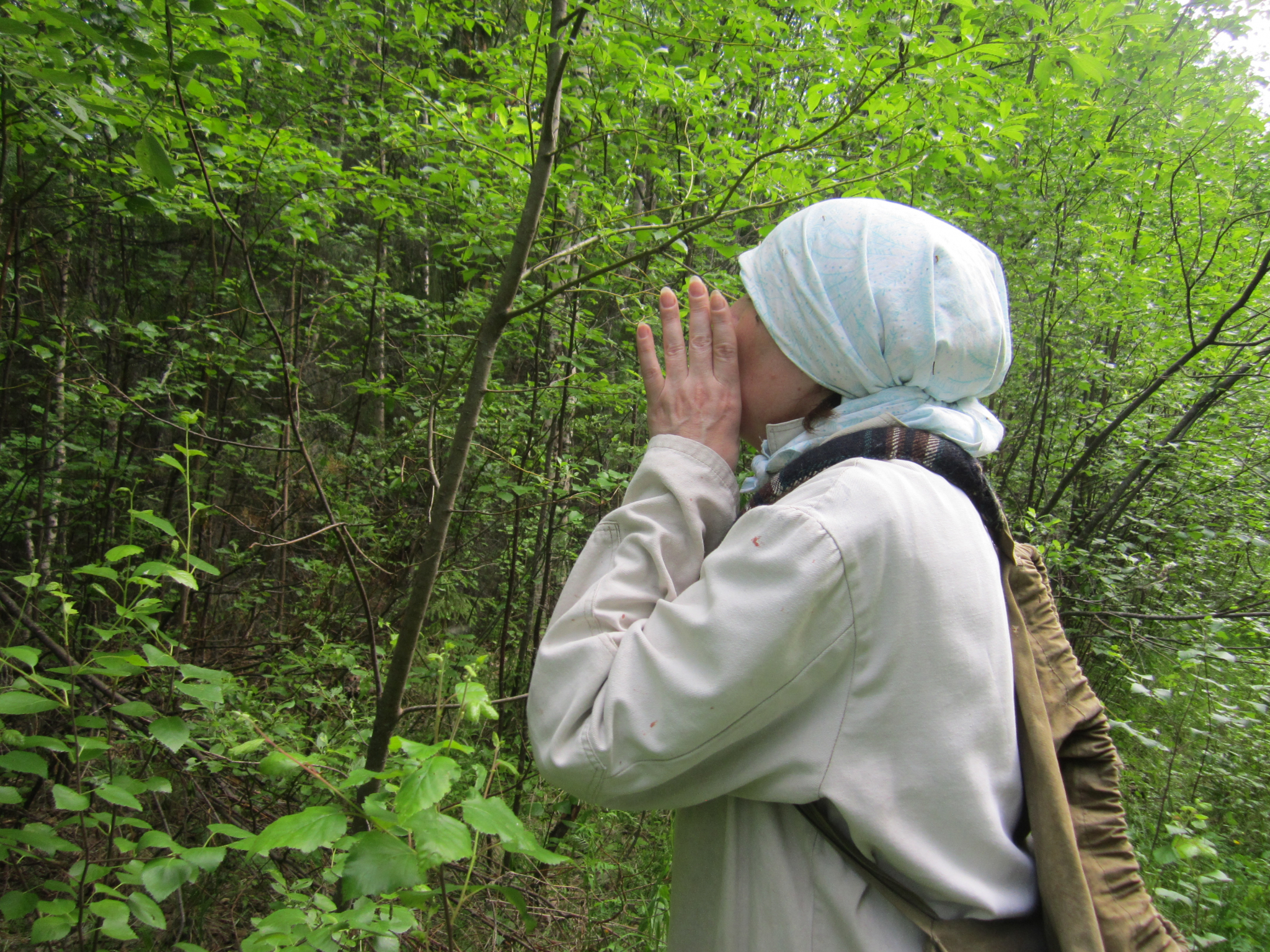 Заблудившаяся в лесу чебоксарка отказалась от помощи спасателей