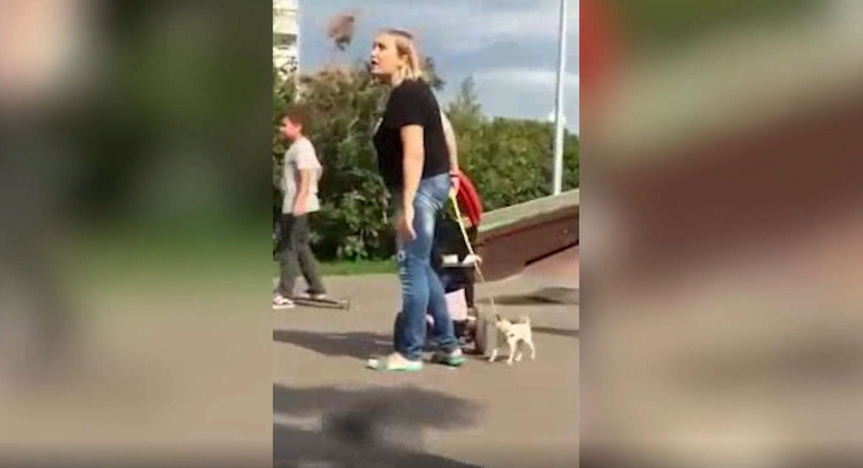 Женщина с ребенком на скейт-площадке плюнула в подростка и ругалась матом
