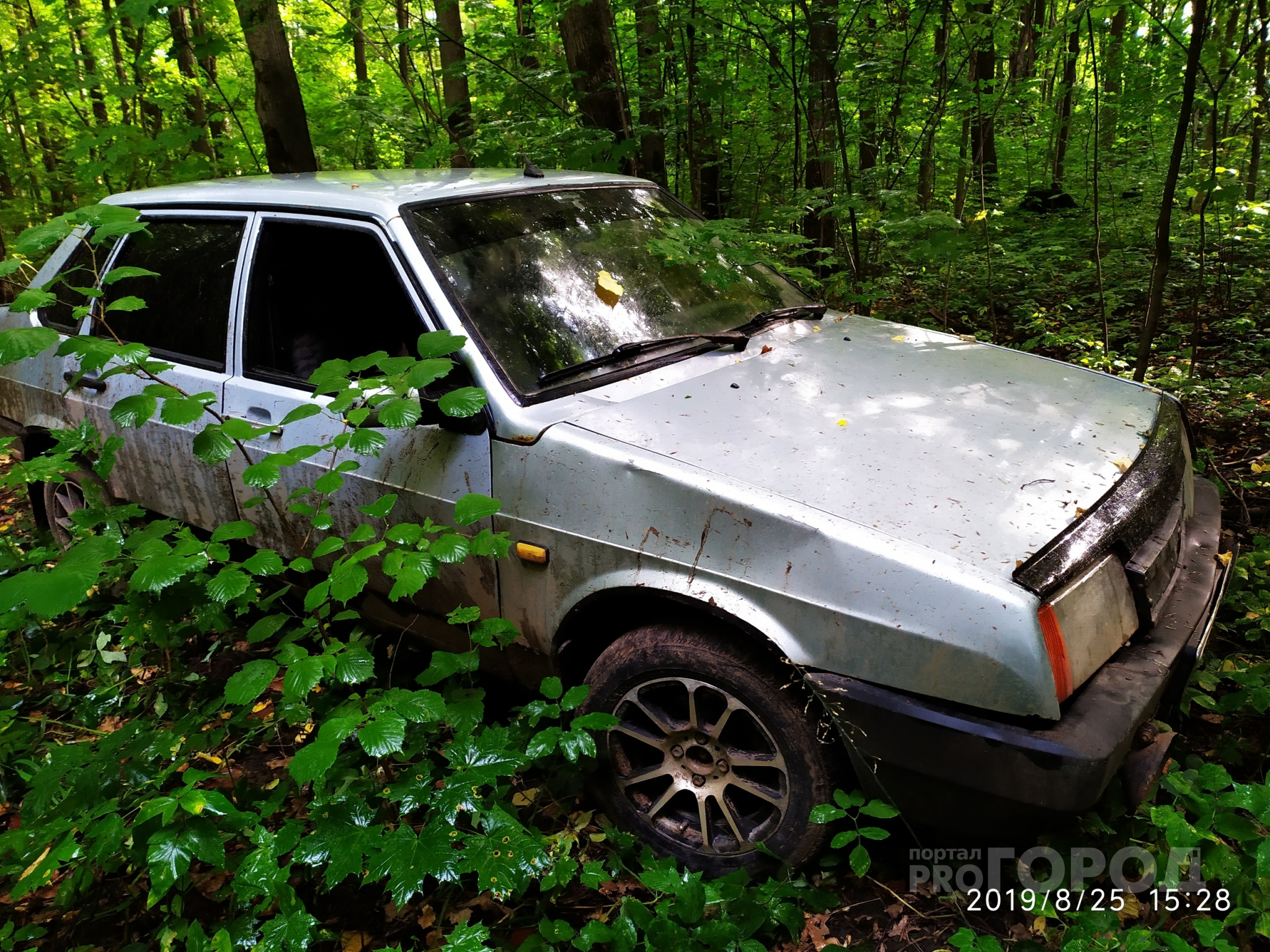 В Чебоксарах девушка пошла за грибами и обнаружила брошенный автомобиль