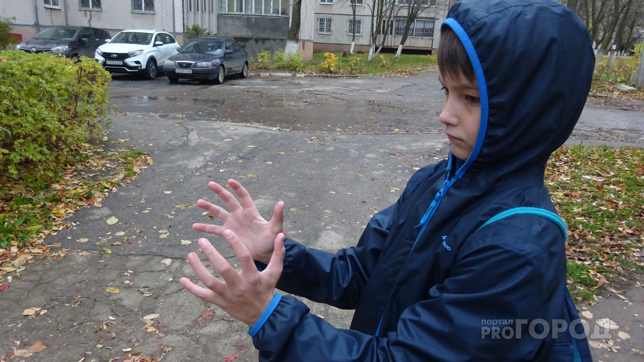 В Новочебоксарске бродячая собака напала на 11-летнего мальчика