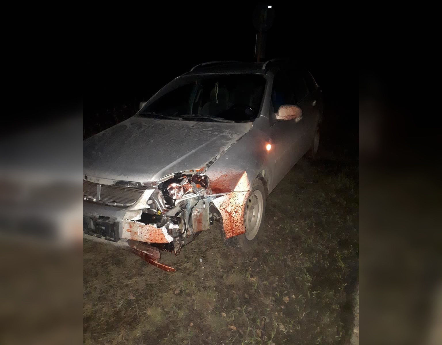 В Вурнарском районе произошло ДТП с кабаном: водитель заплатит за животное и ремонт машины сам