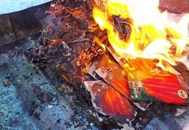 250 упаковок семян моркови предали огню из-за карантинного организма