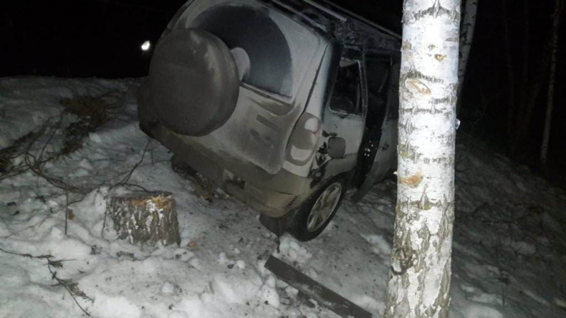 Мужчина на Chevrolet врезался в дерево и убежал в лес от инспекторов