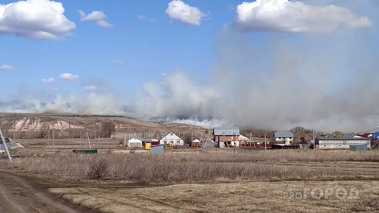 В Чувашии из-за пала травы едва не сгорела деревня: "Огонь остановили в 10 метрах"