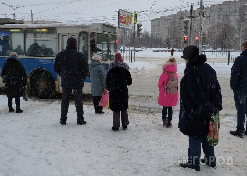 Госдума приняла закон о запрете высаживать детей без билетов из автобуса