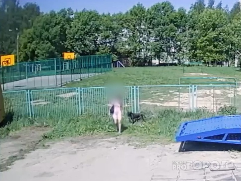 В Чебоксарах хозяйка бросила пса, привязав его к забору школы