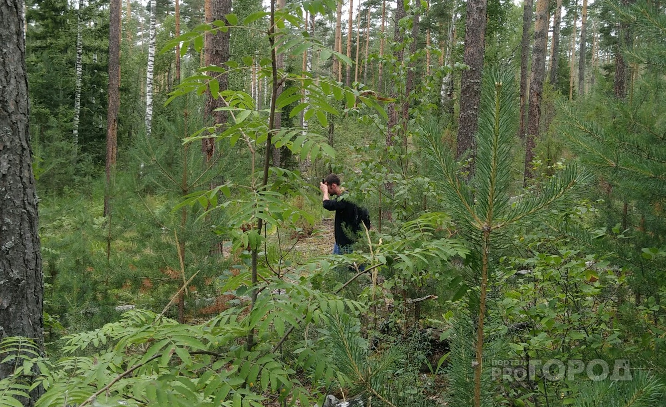 Спустя два дня полиция нашла пропавшего чебоксарца: он ночевал в лесу