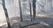 В Шемуршинском лесничестве вспыхнул пожар
