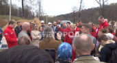 Вырубку дубов в Юго-Западном районе проверяют общественники из Москвы