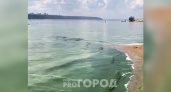 Волга в Чебоксарах превратилась в зеленую жижу