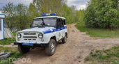Жителя Козловского района посадят на 9 лет за убийство женщины граблями