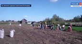 Жители одного из сел Батыревского района вырастили для военных 20 мешков картошки