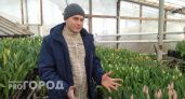 Водитель фуры из Чувашии 20 лет выращивает тюльпаны: "Теща предложила на пробу посадить"
