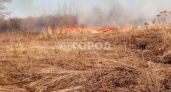 В Чебоксарах загорелось поле около Солнечного микрорайона