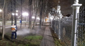 В чебоксарские парки и скверы выйдут люди в спецодежде с опрыскивателями 