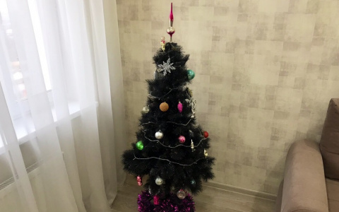 Каждый седьмой житель Чувашии отказался ставить елку на Новый год
