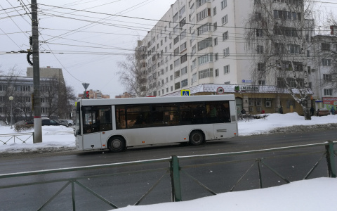 В Чебоксары прибыли еще 10 новых автобусов МАЗ