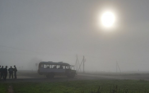Туманное утро и небольшое похолодание прогнозируют синоптики Чувашии