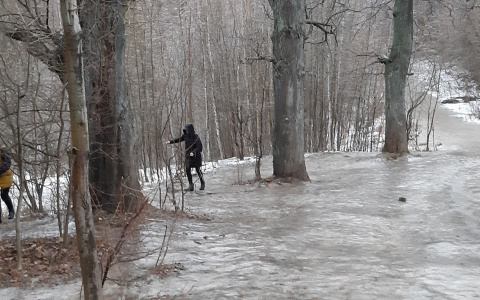 Жители Садового о ледяной дороге через овраг: "Школьники падают, кричат, обходят по лесу"