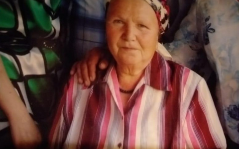В Чувашии сутки ищут пропавшую женщину с потерей памяти