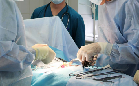 Чебоксарские врачи виртуозно провели сложнейшую операцию по удалению почки и тромба