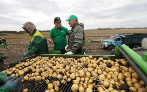 Николаев беспокоится о чувашской картошке: чтобы не сгнила, и земли не "угробили"
