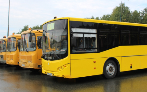 В Чувашии появятся новые школьные автобусы: теперь их должно хватить на всех нуждающихся детей